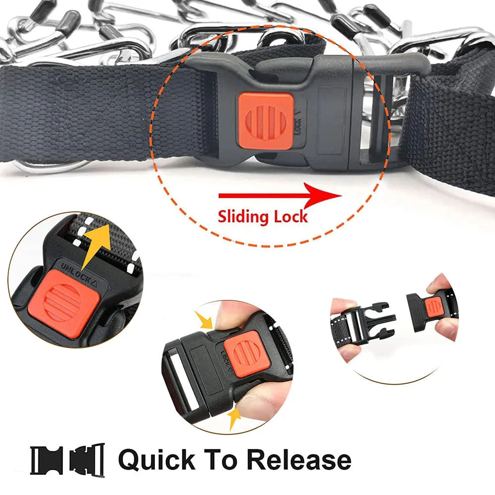 Spike dog training chain collar with metal construction in reflective colours