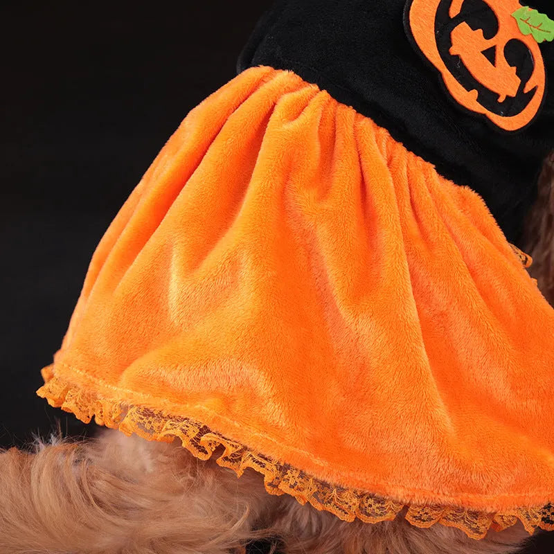 Halloween pet costume showing pumpkin skirt and sweater options in crystal velvet material for dogs and cats