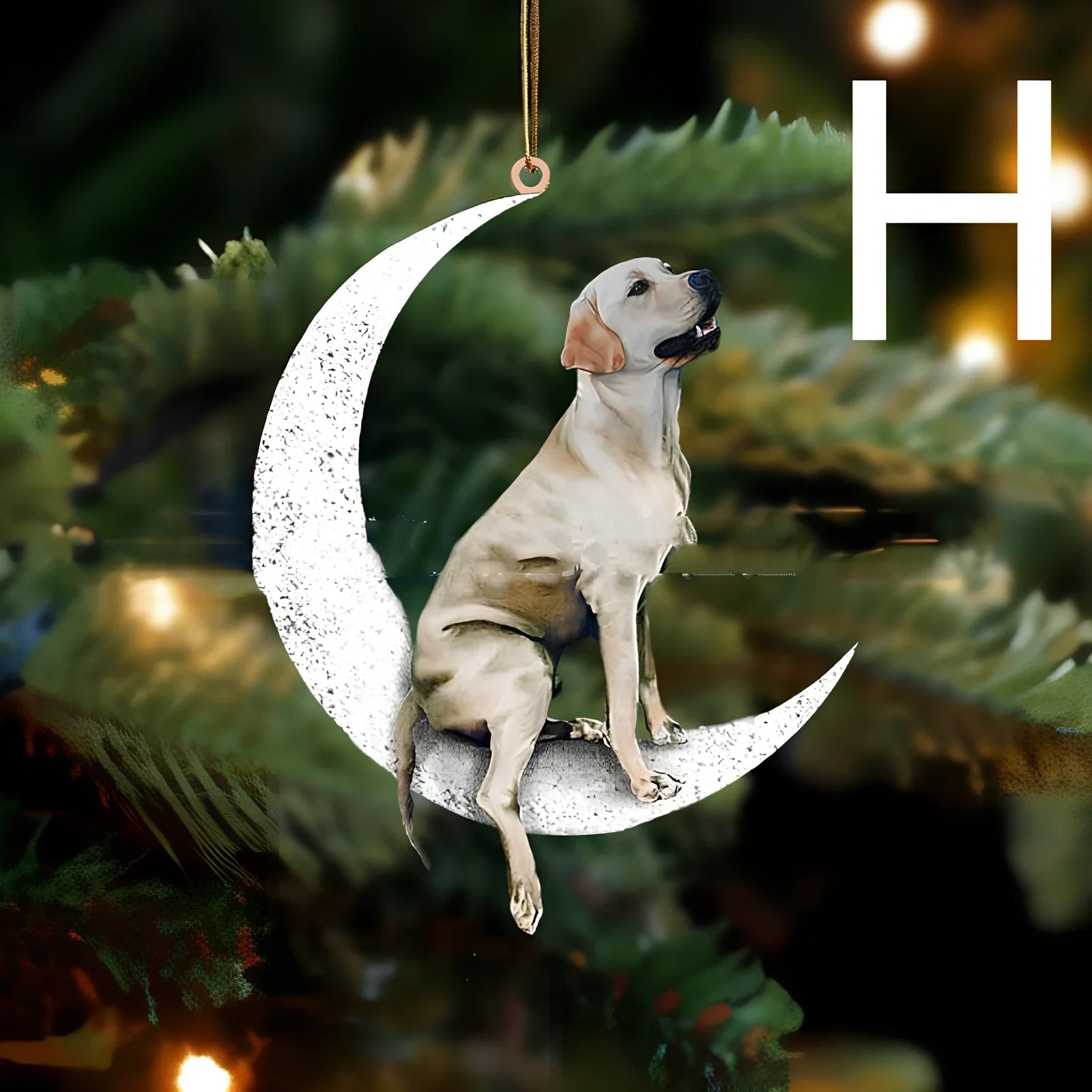 8.5cm acrylic hanging ornament with dog design in picture colour, style A labrador on clear background