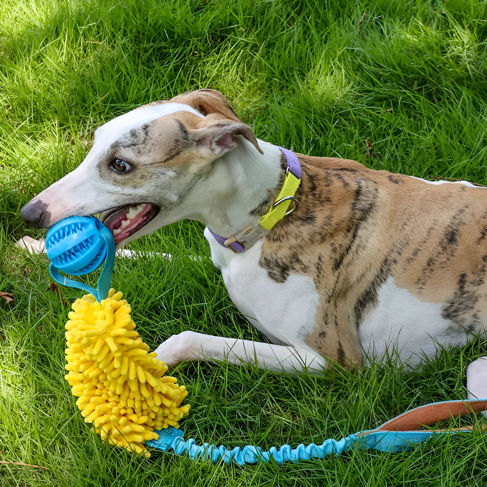 Green, orange, and blue woven polyester bends and hitches dog tug-of-war chew toy on a plain background