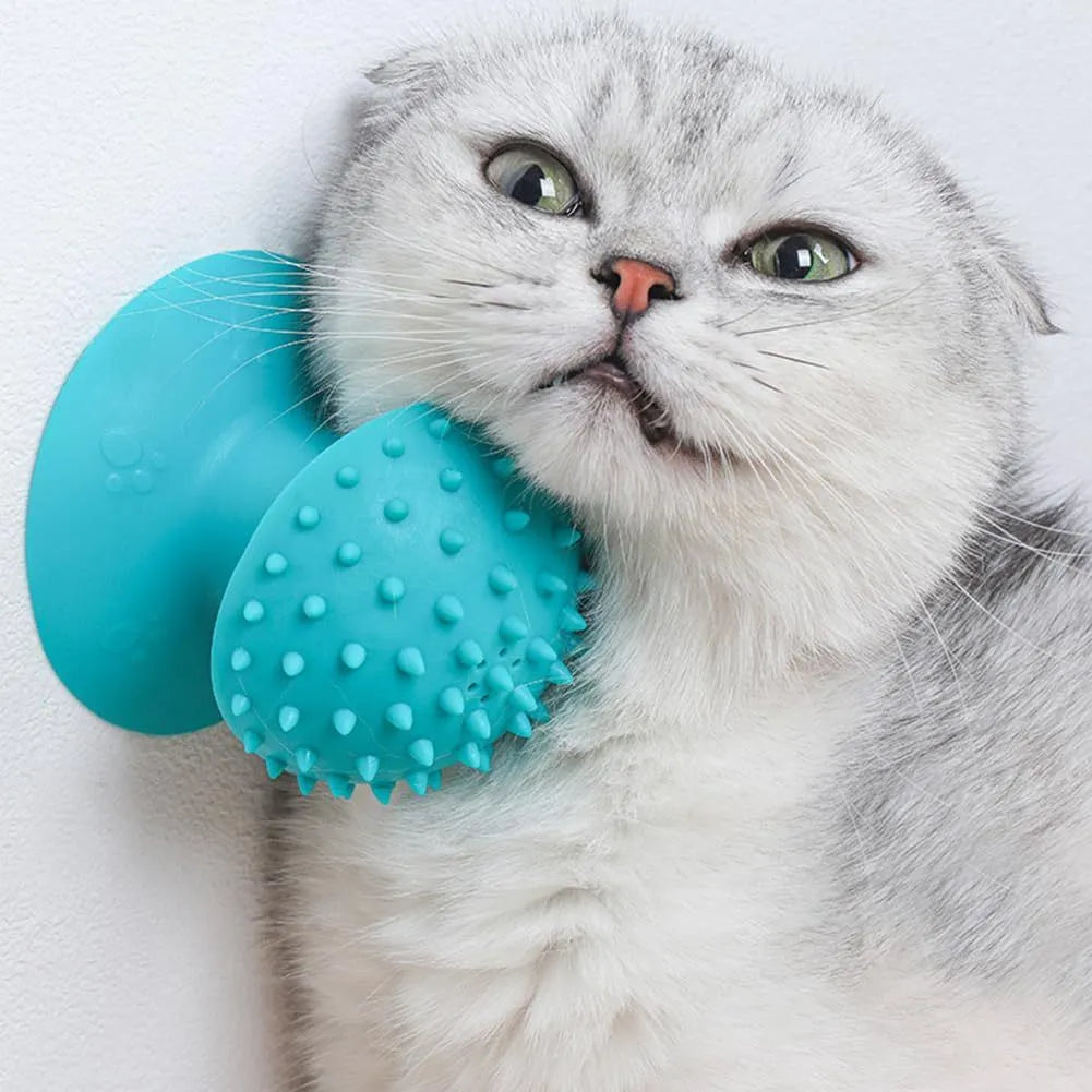 Blue cat self groomer mounted on wall with brush head and cat mint compartment