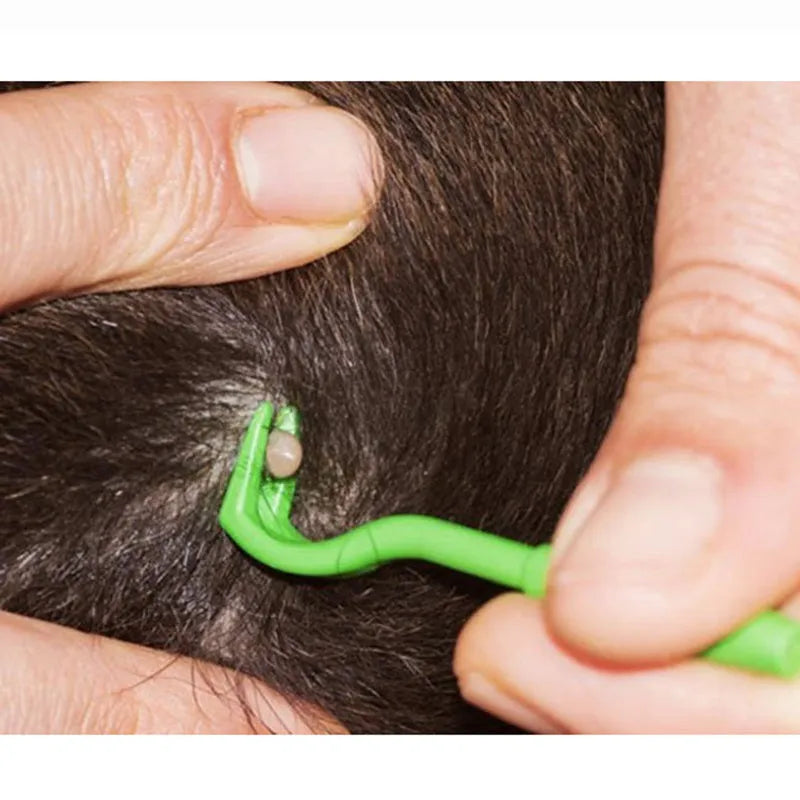 Three plastic tick removal clips for pets in blue and green colours