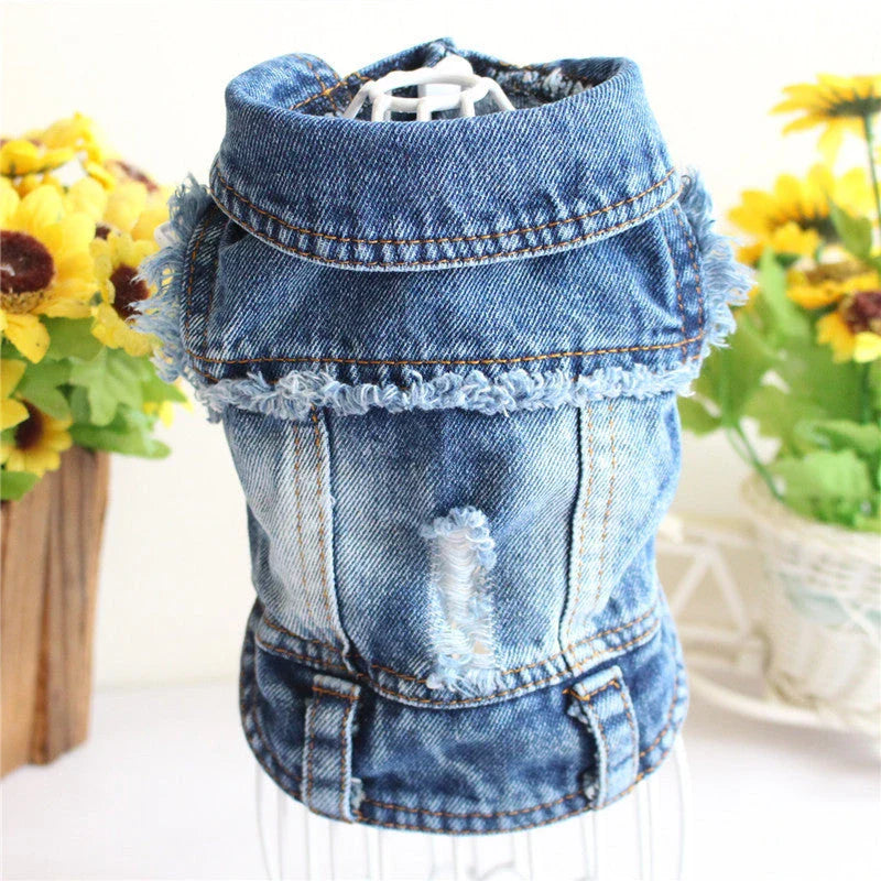 Stylish denim dog jacket with various designs like hoods, fringes, and patterns for trendy pet fashion