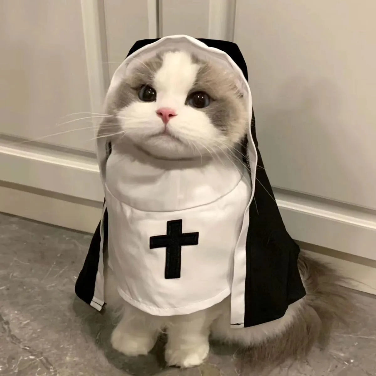 Black and white nun costume for small medium dog with polyester cloak and pullover design