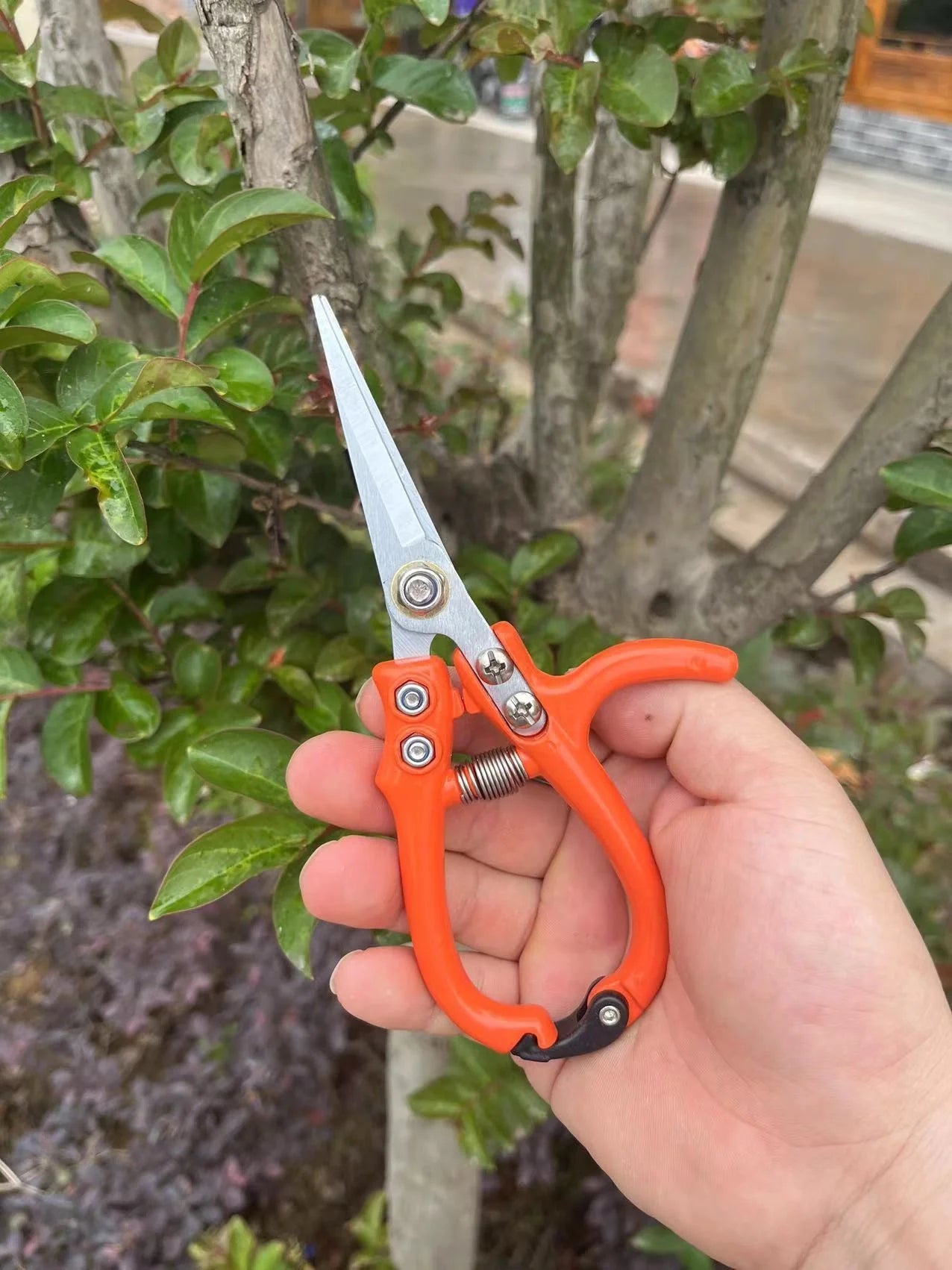 Multifunctional garden scissors with safety buckle and stainless steel spring for pruning