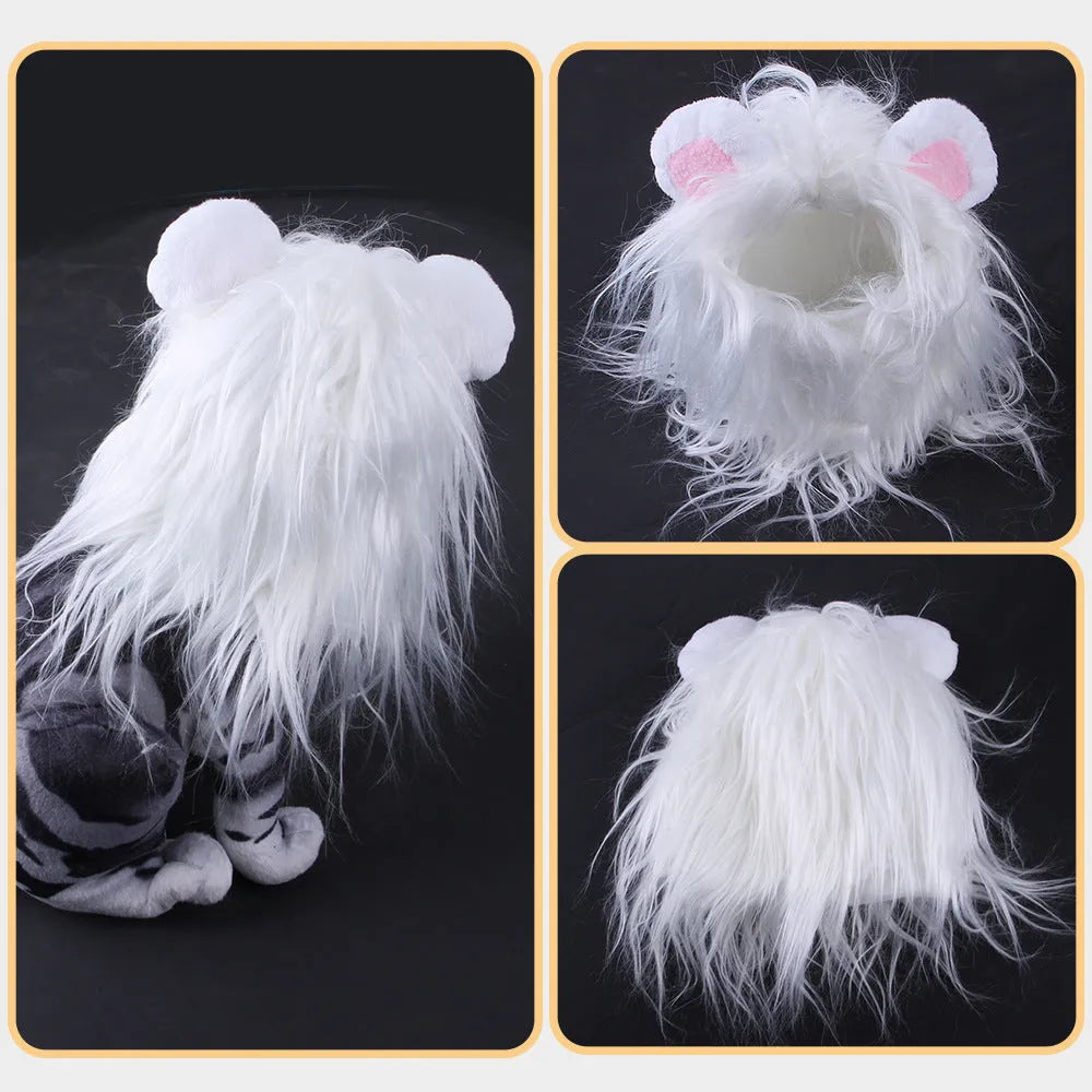 Pet cat wearing lion mane headgear wig hat in black colour for funny costume dress up
