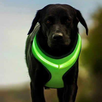 LED Luminous Dog Harness with USB charging and reflective design for pet safety