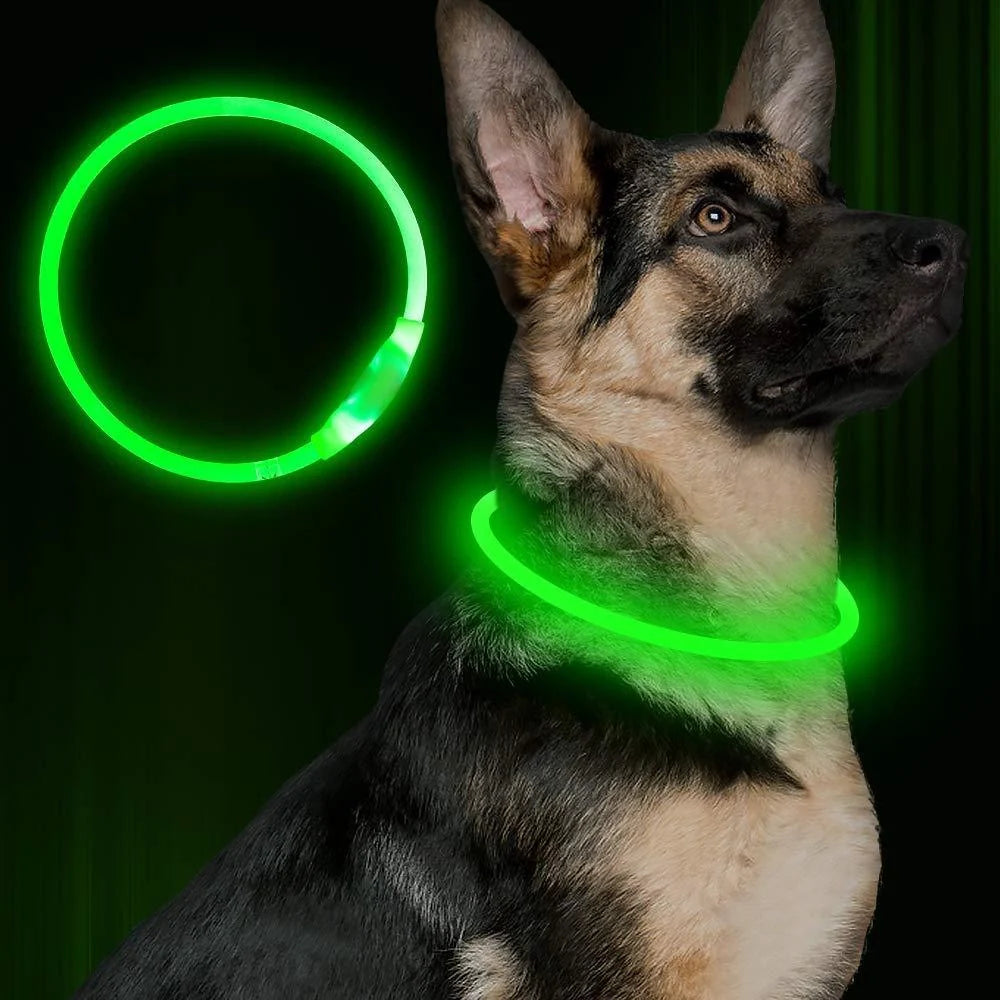 USB rechargeable pet safety collar with LED light for night visibility