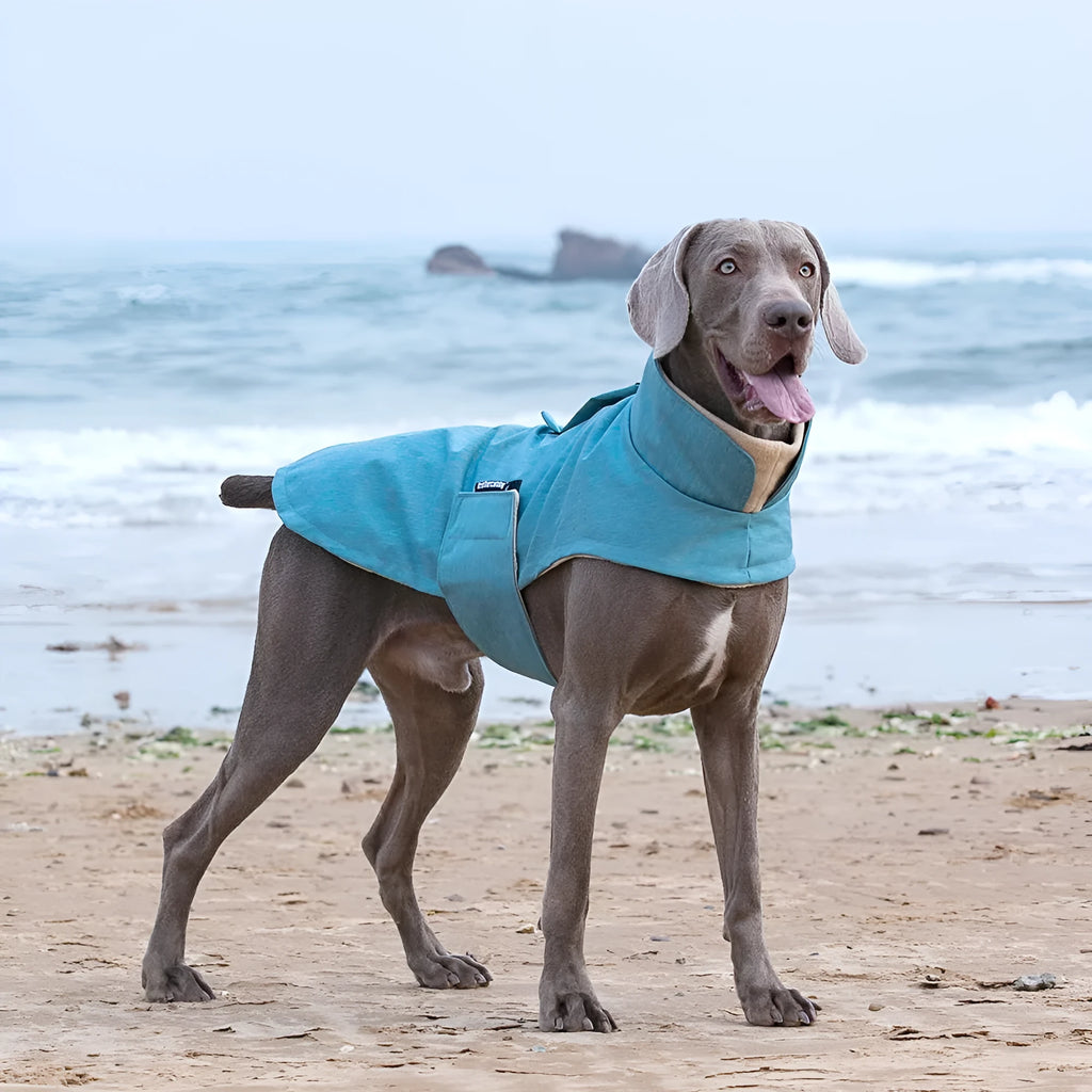 Polyester dog vest for medium and large dogs in rose red, light blue and grey colours