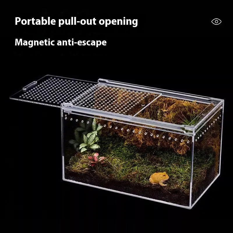 Transparent acrylic reptile feeding box showing dimensions and clear construction for crawler pets