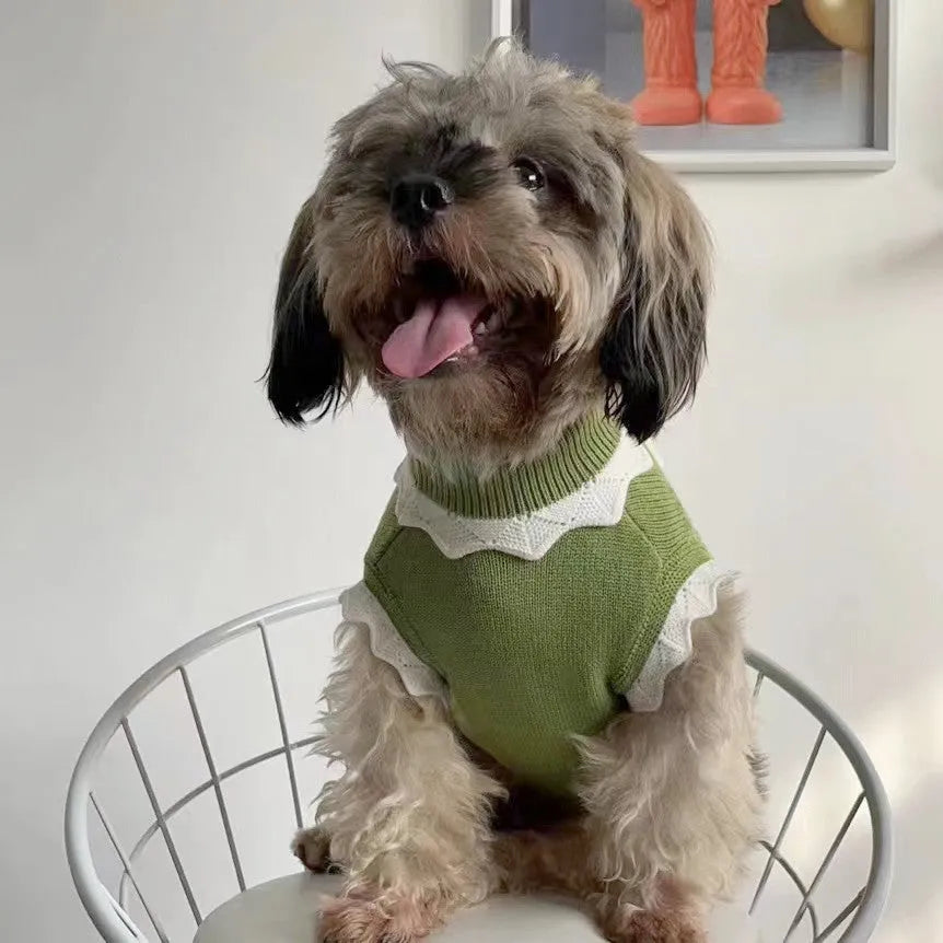 Flower blossom pattern dog and cat sweater for autumn and winter in pink and green colours