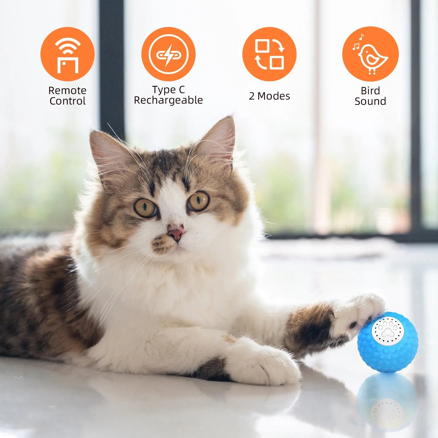 Remote control interactive cat ball toy with motorised rolling and sound effects