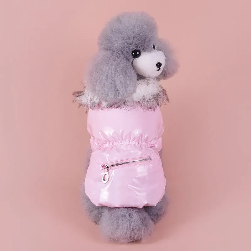 Blue cotton dog coat with British style design for autumn and winter wear