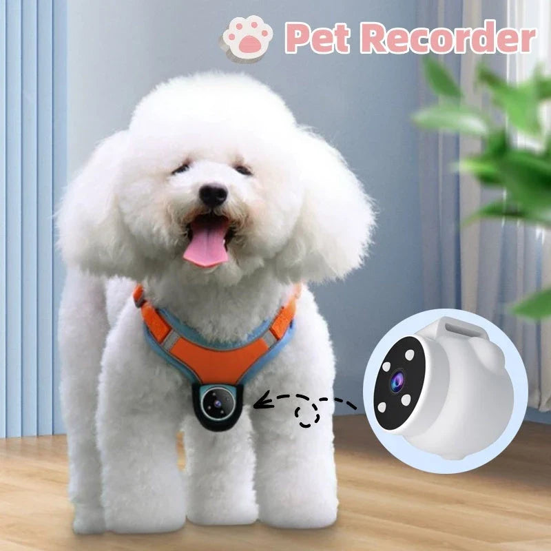 GPS Pet Tracker Collar with Camera for dogs and cats, featuring real-time tracking and 170° video recording.