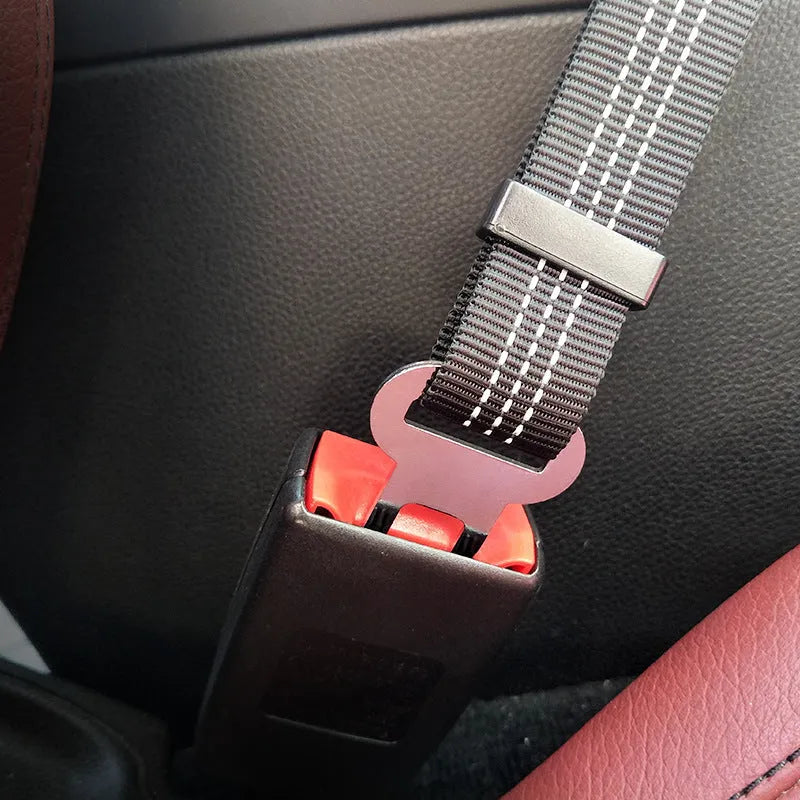 Pet elastic reflective retractable car seat belt in polyester material, colour blue, size 2.5x75cm