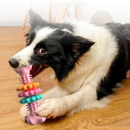 TPR dog chew toy bone in blue, pink, and green for teeth cleaning and stress relief