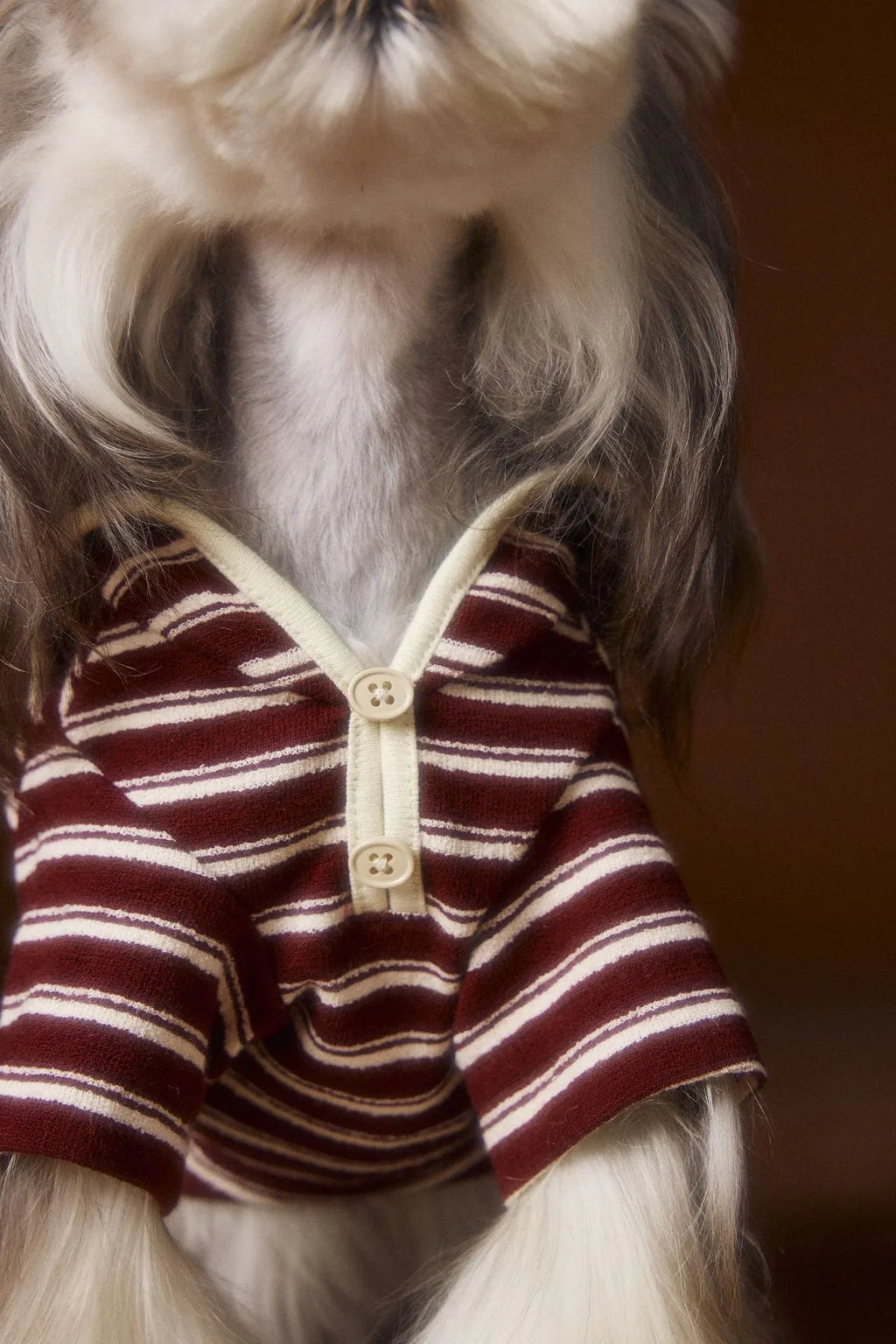 Striped embroidered sailor collar pet sweatshirt in coffee strip for small dogs