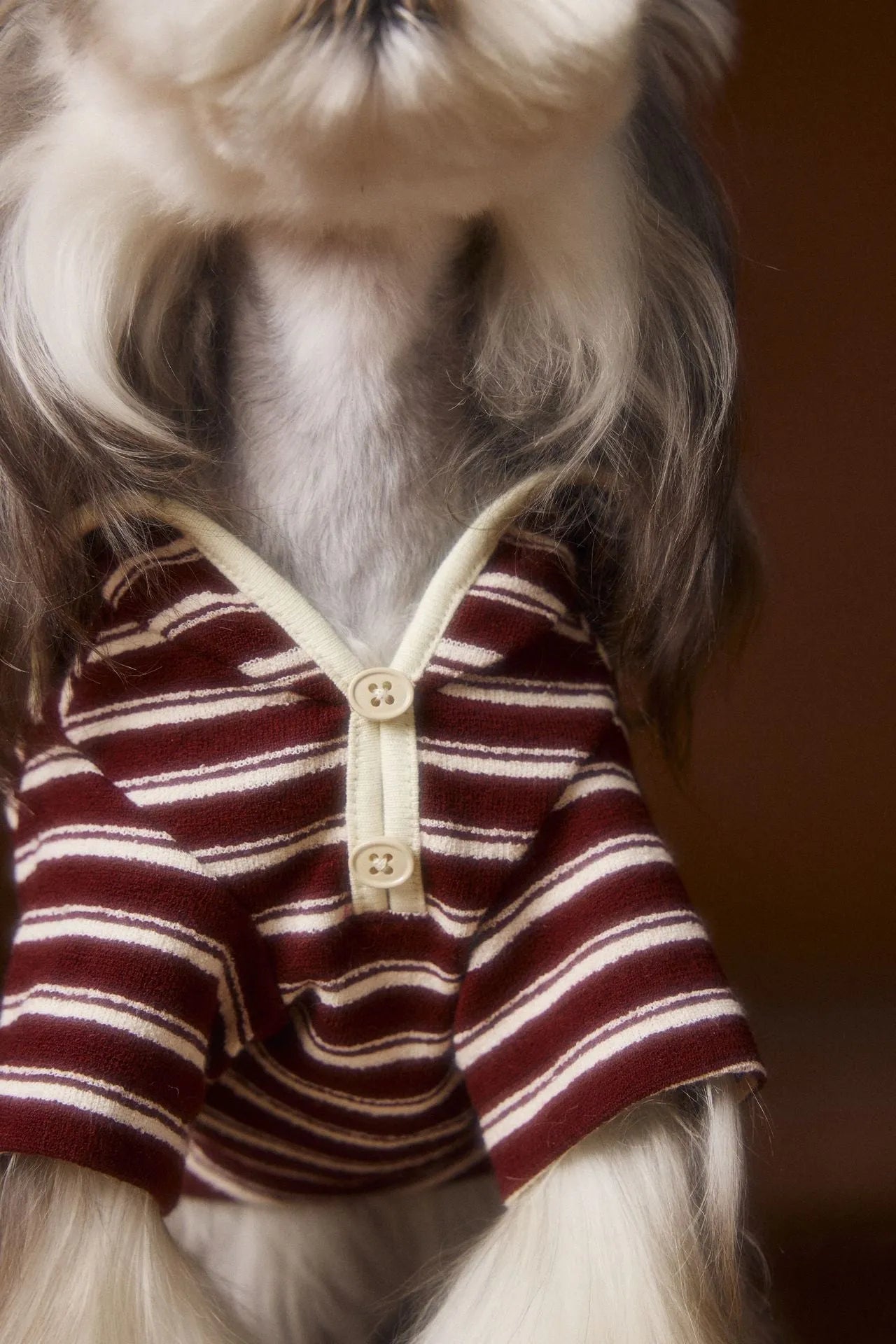 Striped embroidered sailor collar pet sweatshirt in coffee strip for small dogs