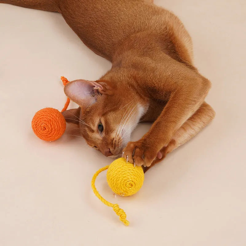Bite-resistant cat teaser wand set with colourful attachments and catnip ball on a blue background