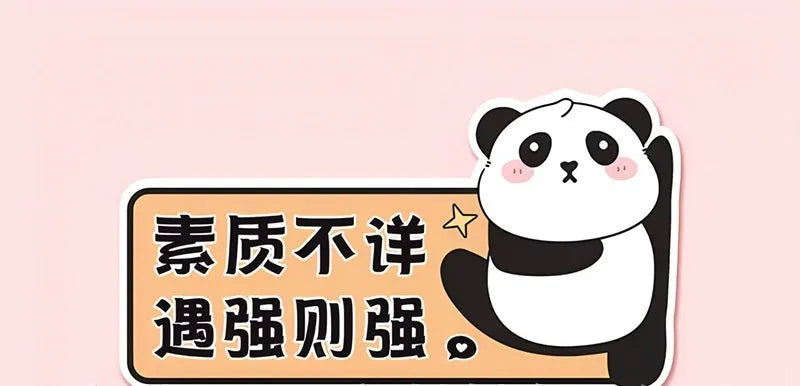 Reflective car sticker for female drivers with panda design and 'Female Novice' text measuring 23x12 cm