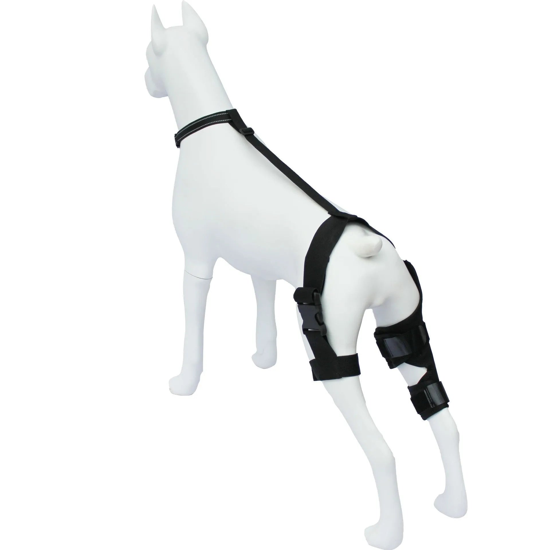 Neoprene dog hind leg knee brace assist strap in collar black colour showing adjustable design for pet leg support