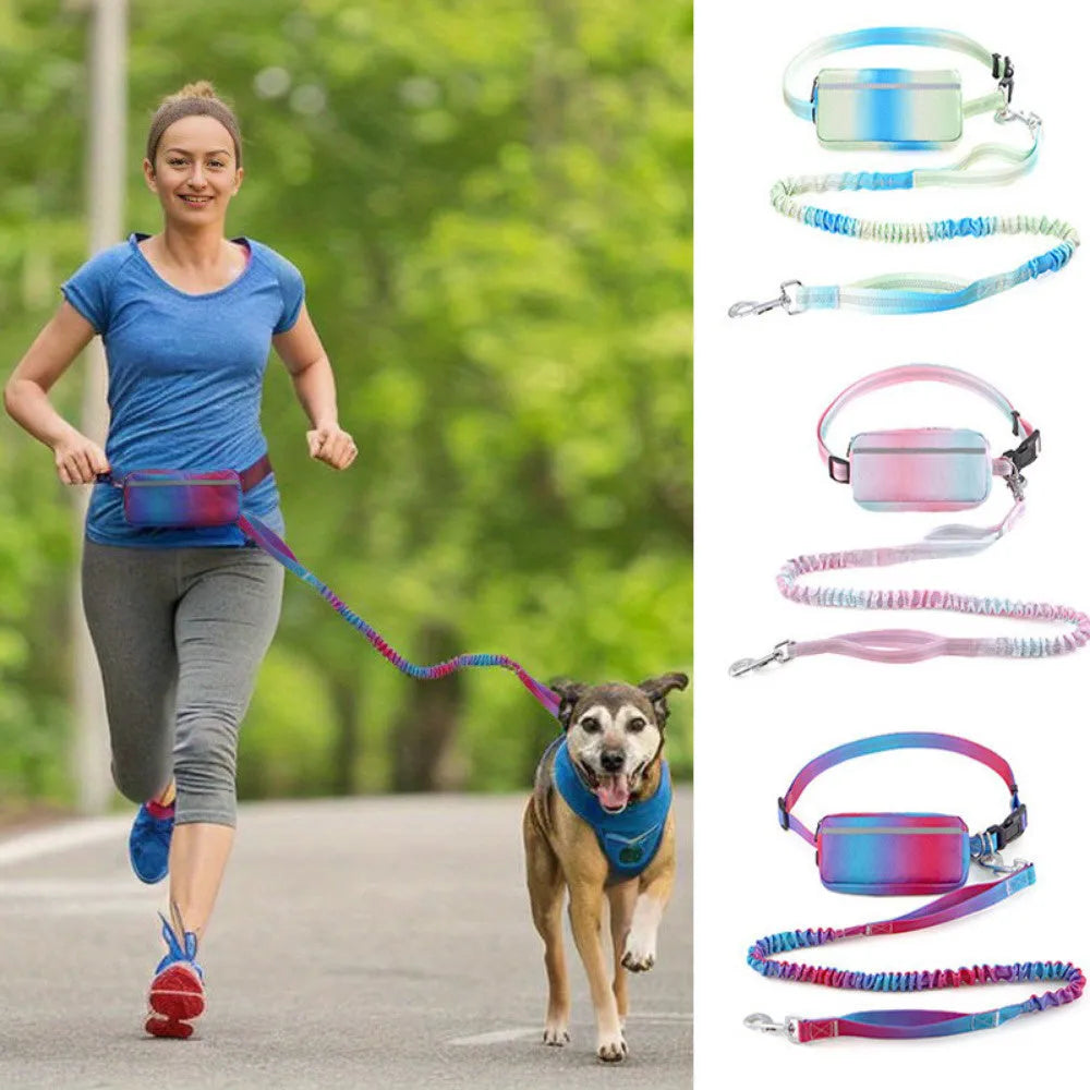 Blue hands-free adjustable dog leash with waist belt, shown extended to full length.