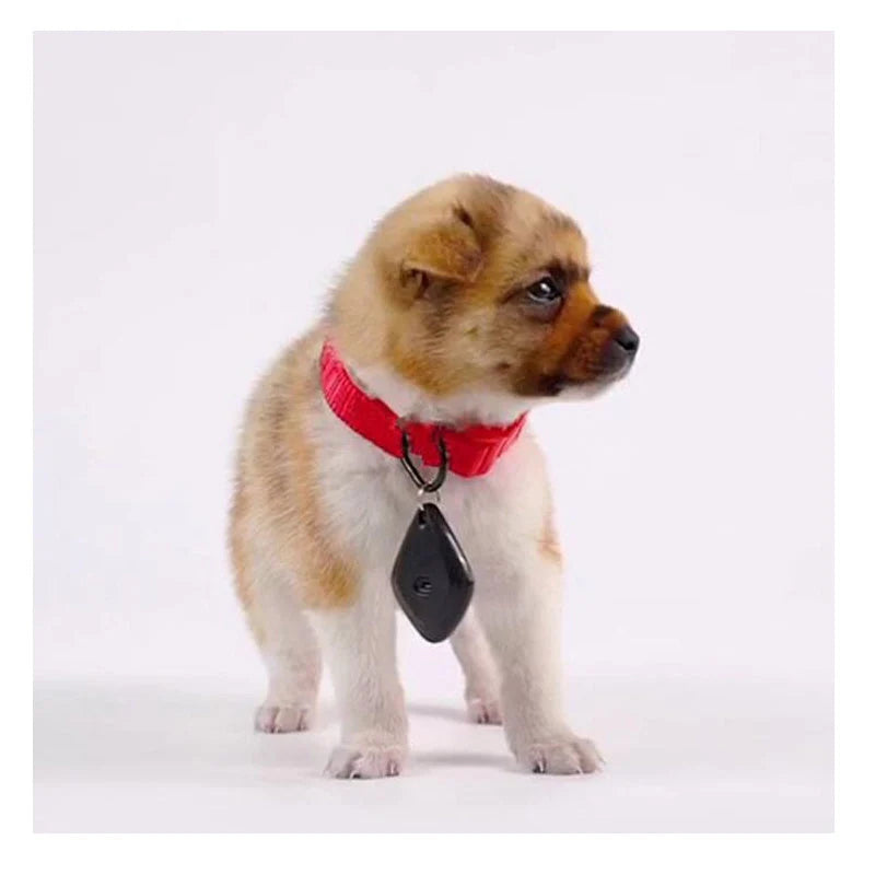 Ultrasonic mosquito repeller in black and white, compact design with USB charging port