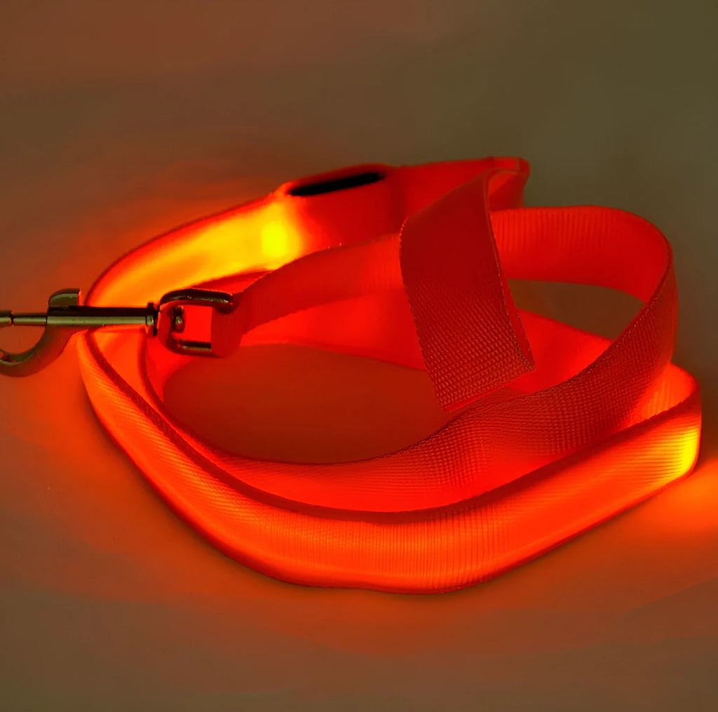 Glowing LED dog leash on nylon webbing 120cm with blue light visible in the dark