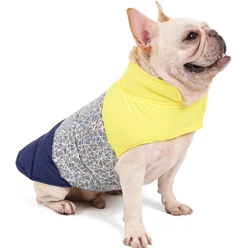 Pet Autumn and Winter Thickened Warmth and Water-repellent Down Jacket in green, grey, and white