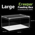 Transparent acrylic reptile feeding box showing dimensions and clear construction for crawler pets