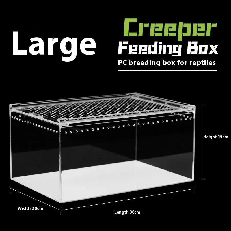 Transparent acrylic reptile feeding box showing dimensions and clear construction for crawler pets