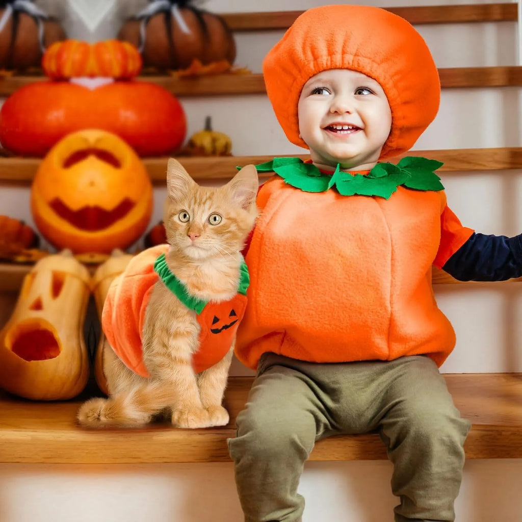 Pumpkin plush Halloween costume on small dog with pullover design and bright orange colour