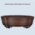 Classical purple clay bonsai pot with green plant old pile design, 50x39x16cm dimensions