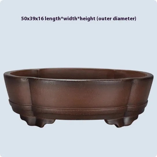 Classical purple clay bonsai pot with green plant old pile design, 50x39x16cm dimensions