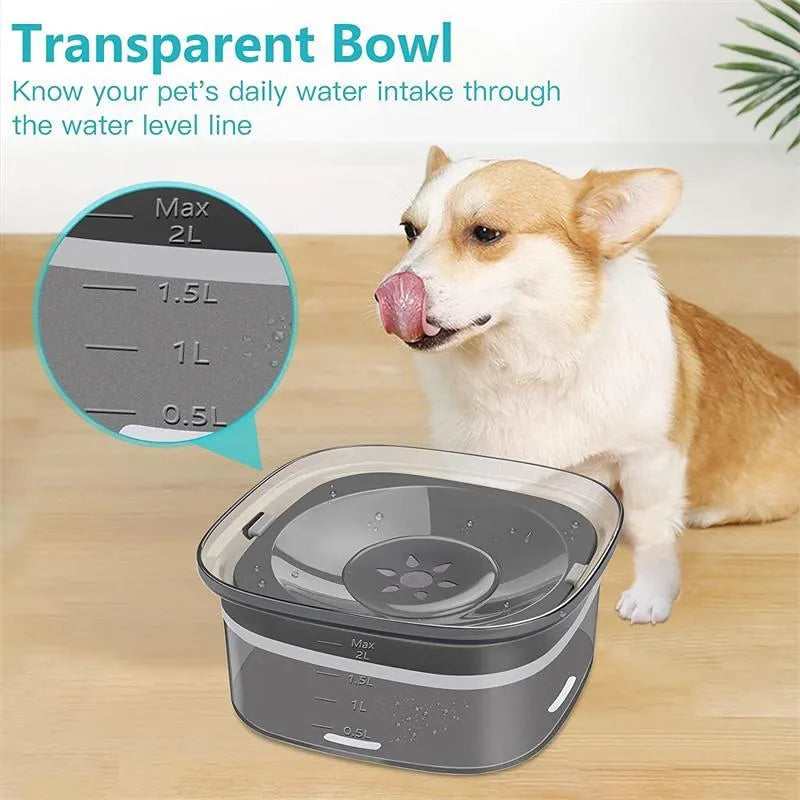 Transparent plastic dog water bowl with floating slow-feeder disk inside.