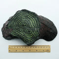 Resin turtle basking platform round style 14x12.5x6cm for aquarium decoration
