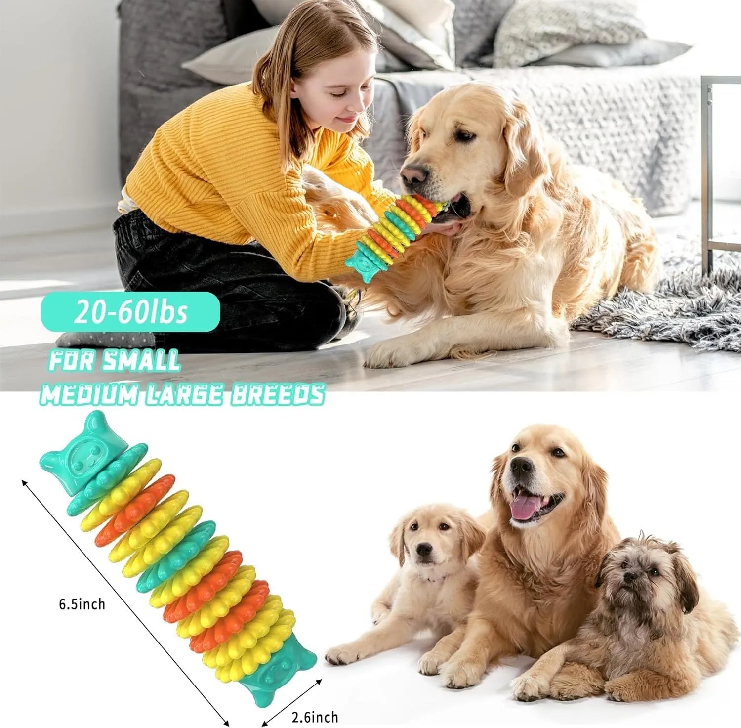 Blue caterpillar-shaped rubber dog chew toy for aggressive chewers.