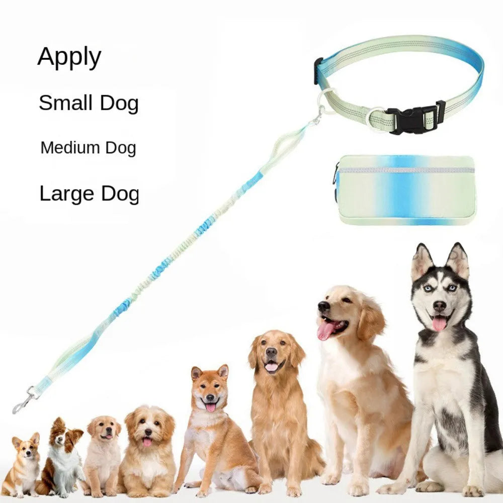 Blue hands-free adjustable dog leash with waist belt, shown extended to full length.
