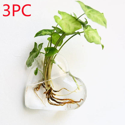 Elegant wall-mounted glass flower vase terrarium with various shapes and designs for home decor and indoor gardening