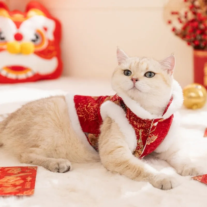 Small dog wearing red and gold brocade Tang suit with frog knot and white fluffy trim for Lunar New Year