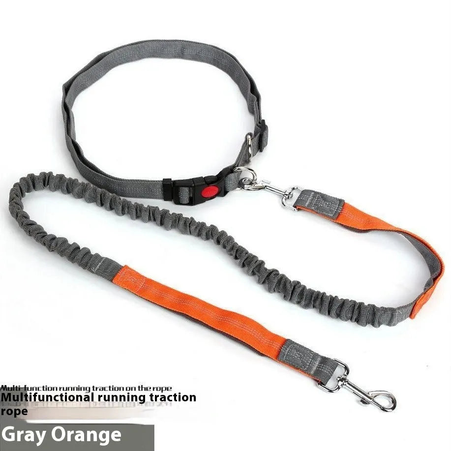 Grey and green reflective elastic dog leash for outdoor running, showing 2.5cm wide nylon construction.