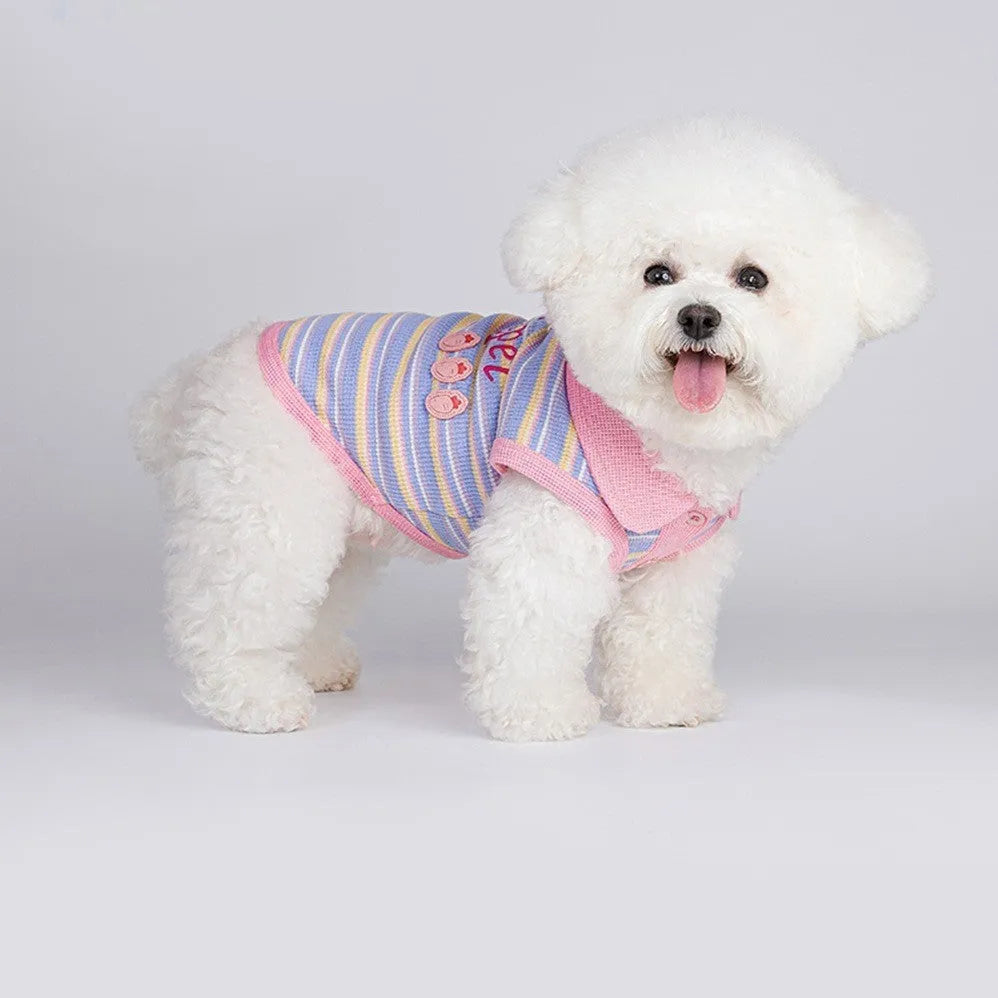 Pink purple small dog autumn vest showing front view with size options from XXS to XXL