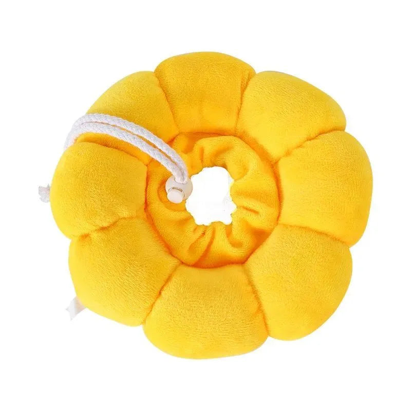 Soft cotton anti-lick recovery collar for a small dog or cat after surgery.