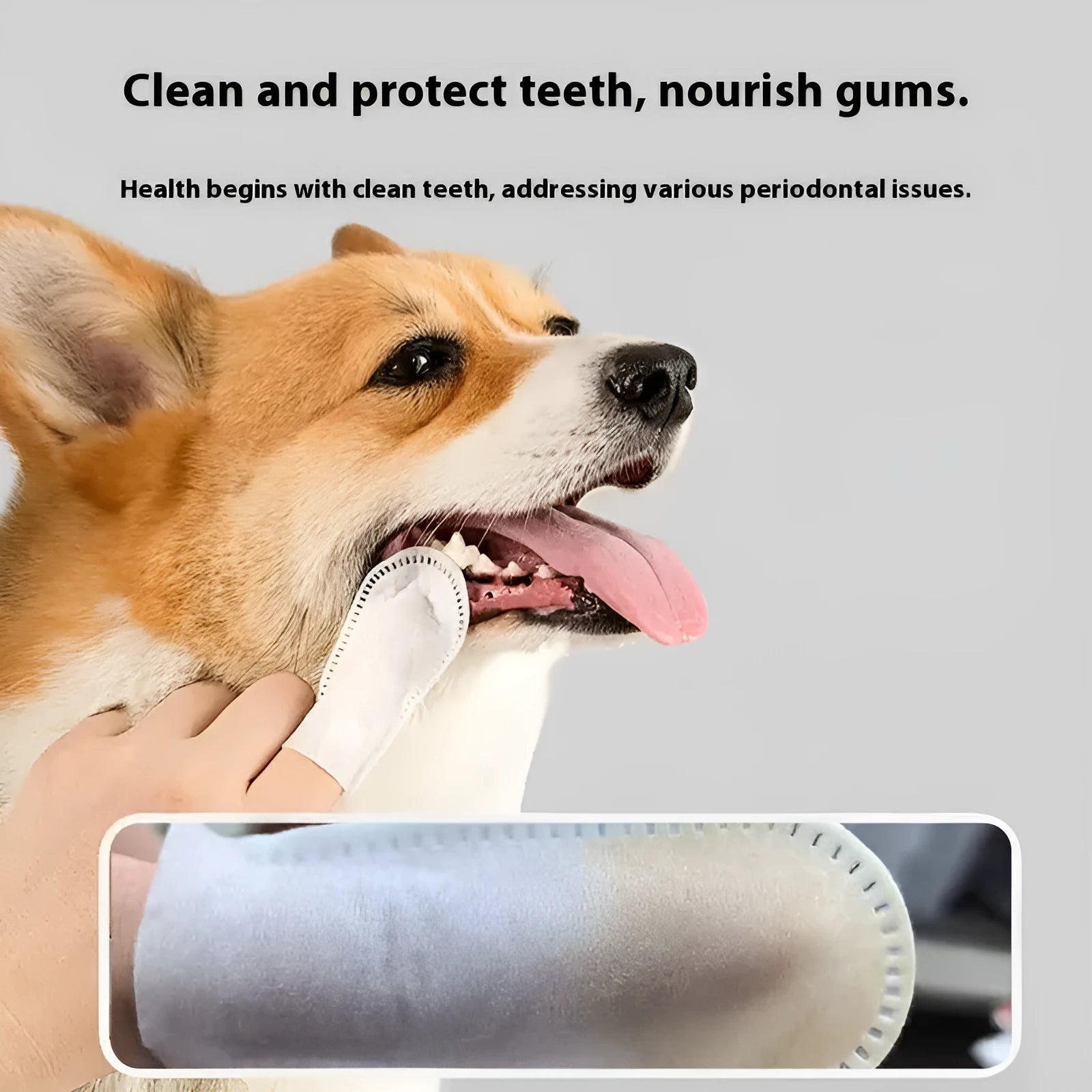 Pack of 50 white non-woven fabric pet teeth cleaning finger stalls or finger cots.