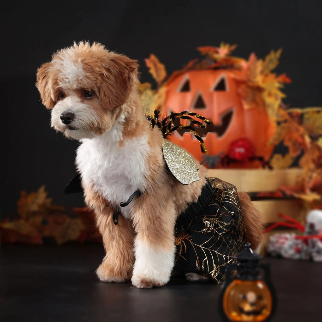 Halloween dog costume in a suit pattern for small, medium, large, and XL dogs.