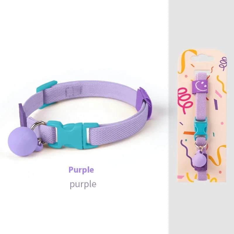 A stretchy, solid-colour polyester dog collar for small dogs, shown on an adjustable buckle.