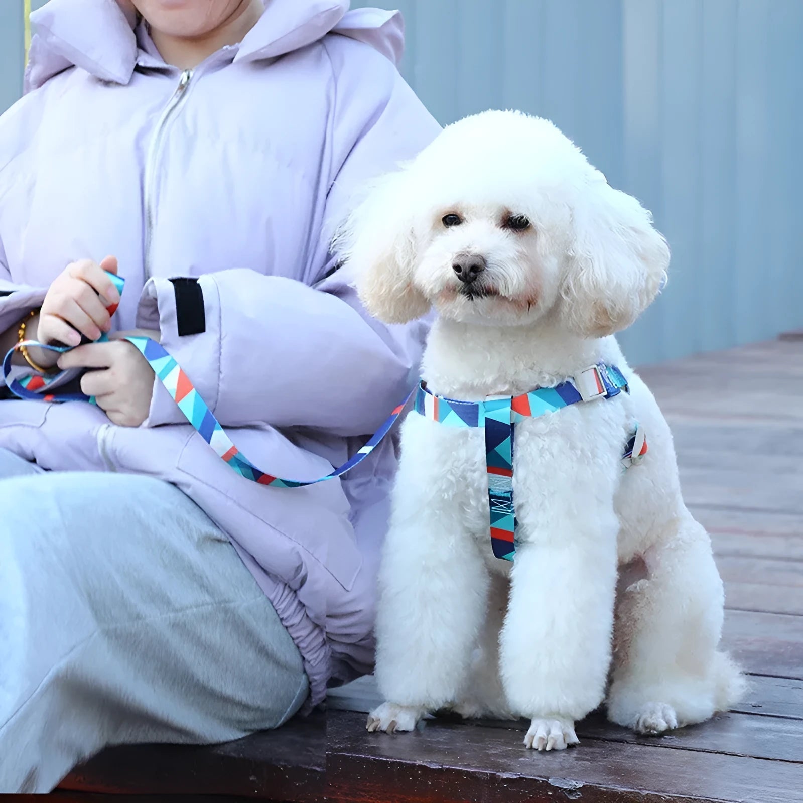 Blue polyester dog harness and leash set with padded rope and adjustable chest strap