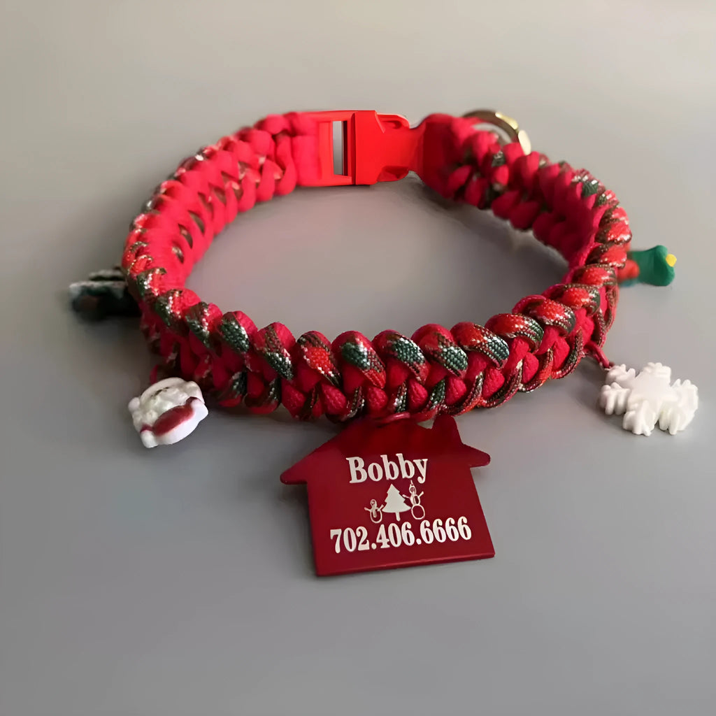 Green dog leash with hand-holding rope and P-chain, featuring a zinc alloy release buckle.