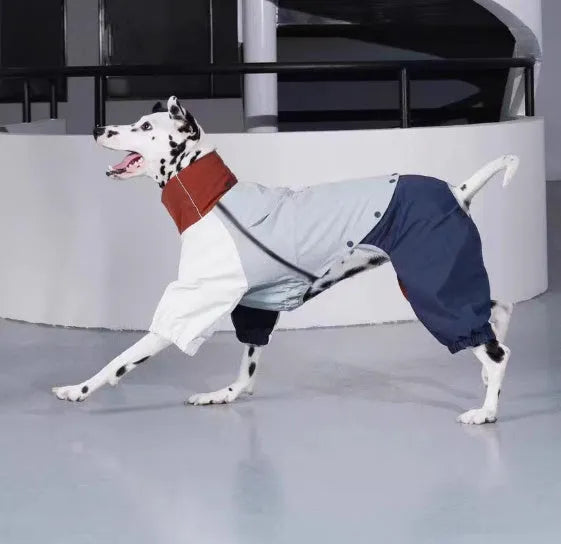 Blue four-legged polyester dog jacket on a medium-sized dog, outdoor setting