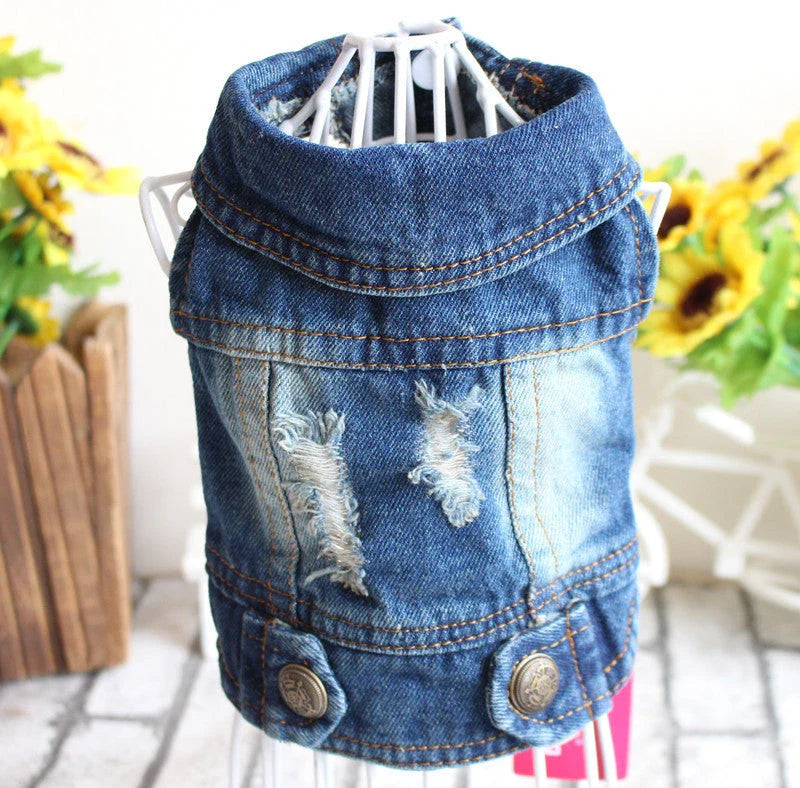 Stylish denim dog jacket with various designs like hoods, fringes, and patterns for trendy pet fashion